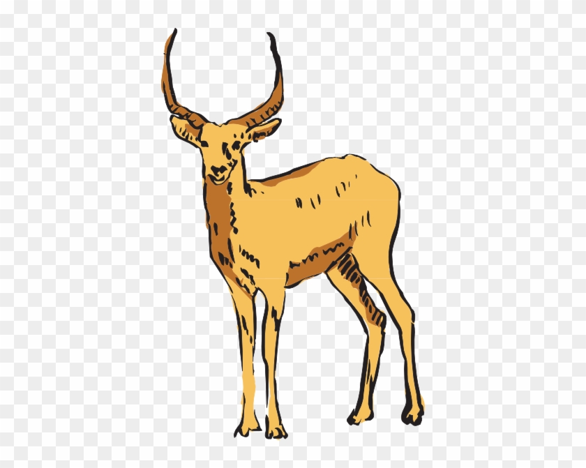 Antelope Clipart Transparent #223791