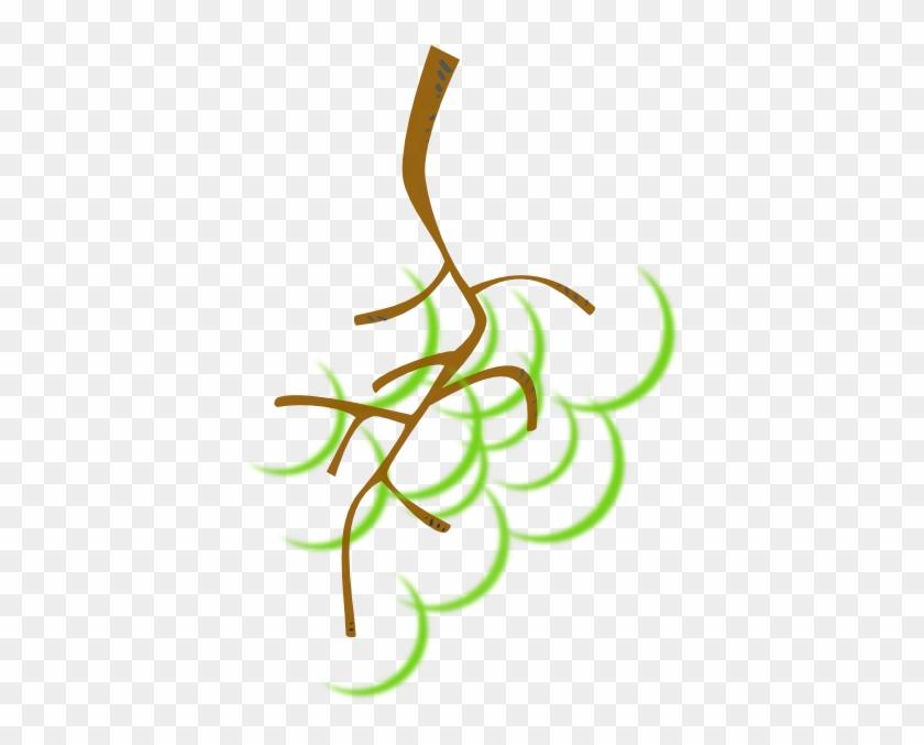 Nice Green Grapes Clip Art - Grape Stem Clip Art #223803