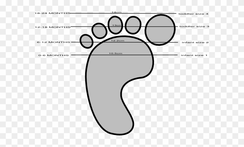 Shoe Size Clipart #223886