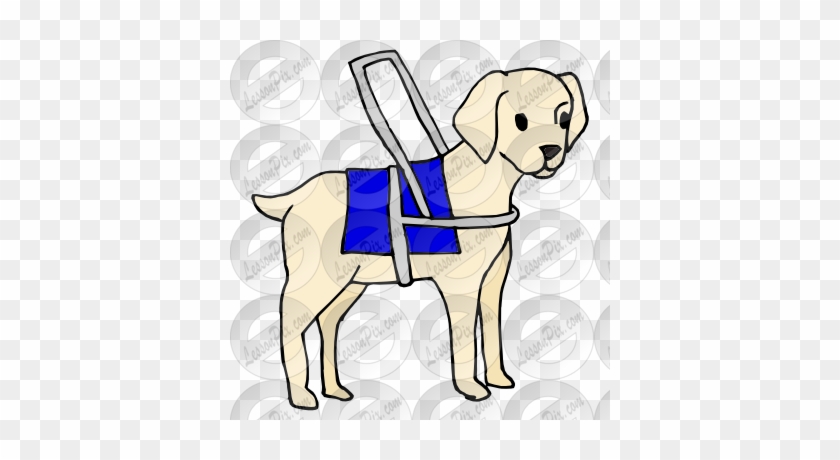 Guide Dog Picture - Therapy Dog #223904