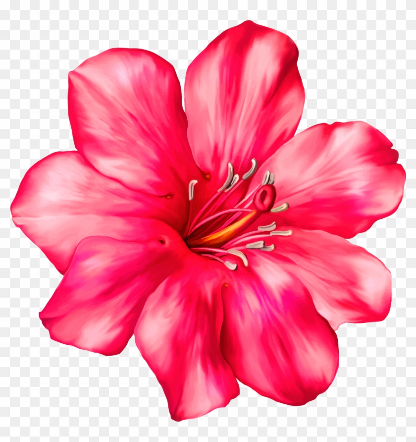 Exotic Pink Flower Png Clipart Picture - Tropical Flower Clip Art #224386