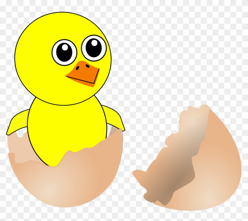 Medium Image - Chick Out From Egg #224568