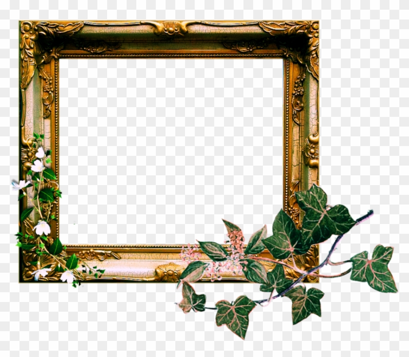 Vintage Ornate Frame Png By Sophia-t - Ivy #224705