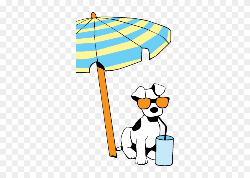 Falls Sie Ihren Italienischen Urlaub Mit Ihrem Hund - Beach #225102