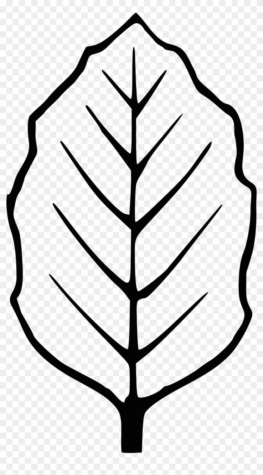 Wunderbar Svg Vorlagen Zeitgenössisch - Outline Image Of A Leaf #225108