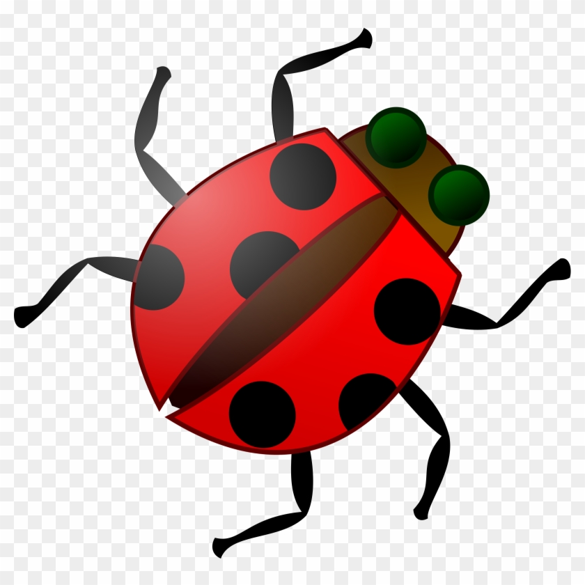 Beetle Clipart Animated - Bug Clip Art #225116