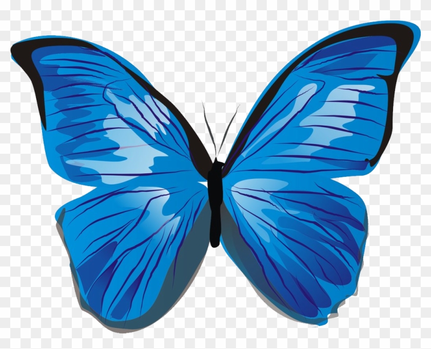 light blue butterfly clipart