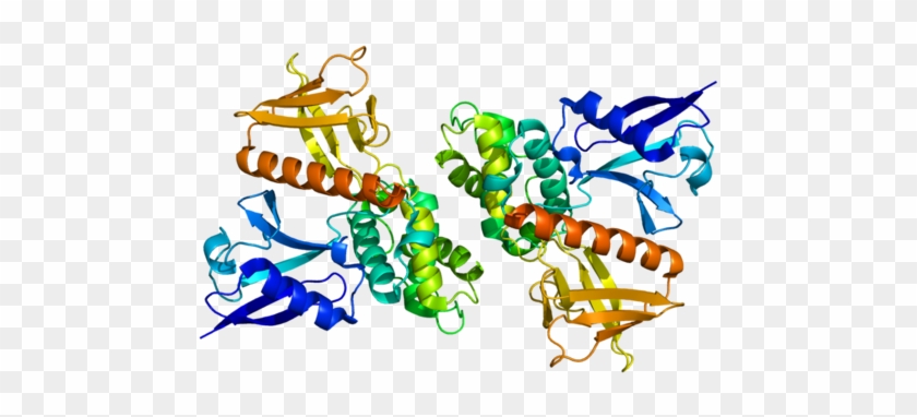 Available Structures - Merlin Protein #225198