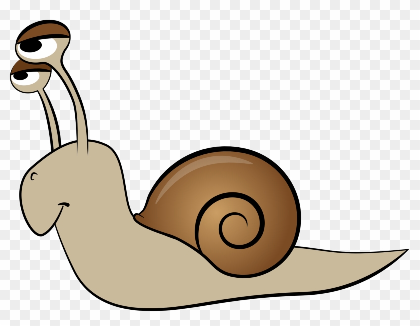 Nachträglich Alles Gute - Snail Cartoon #225282