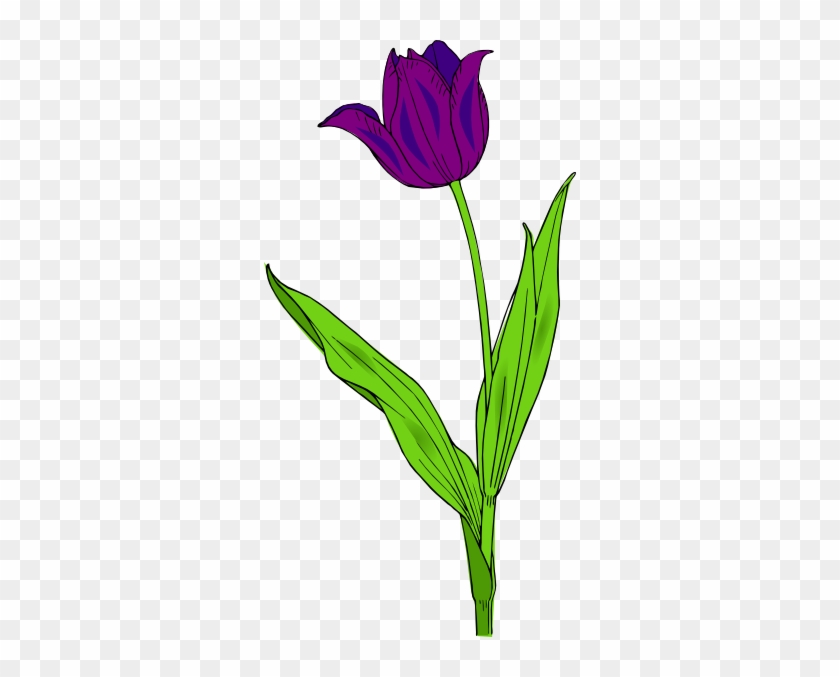 Purple Tulip Clipart #225586