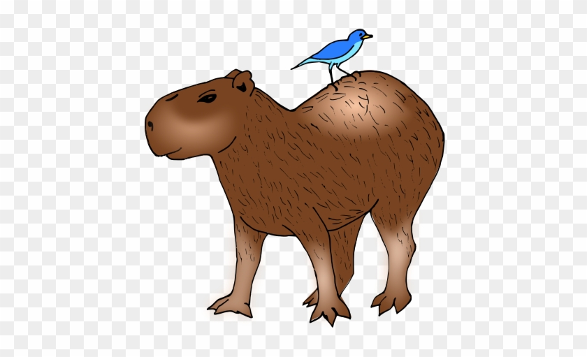 Capybara - Capivara Desenho Kawaii - Free Transparent PNG Clipart