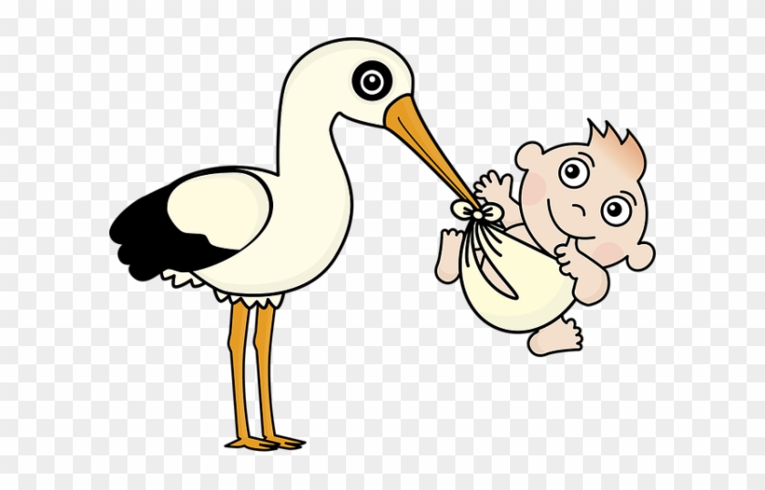 Klapperstorch Mit Baby Im Schnabel - Nacimiento Png #226019
