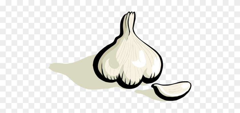 Knoblauch Clipart - Clipart Garlic #226050