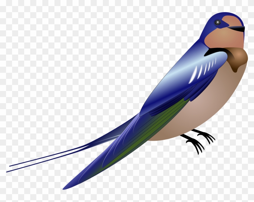 Get Notified Of Exclusive Freebies - Barn Swallow Eat. Sleep. Bird. Mousepad #226277