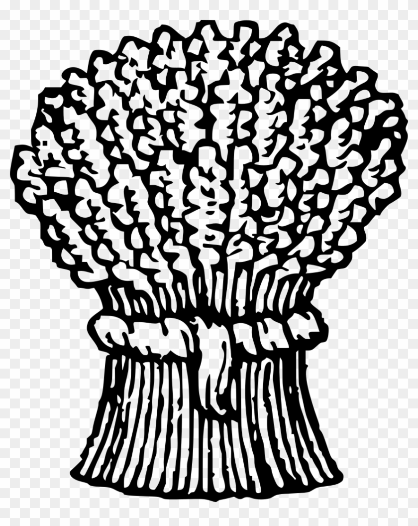 Clip Library Library Barley Drawing Crop - Sheaf Of Wheat Drawing #1433915