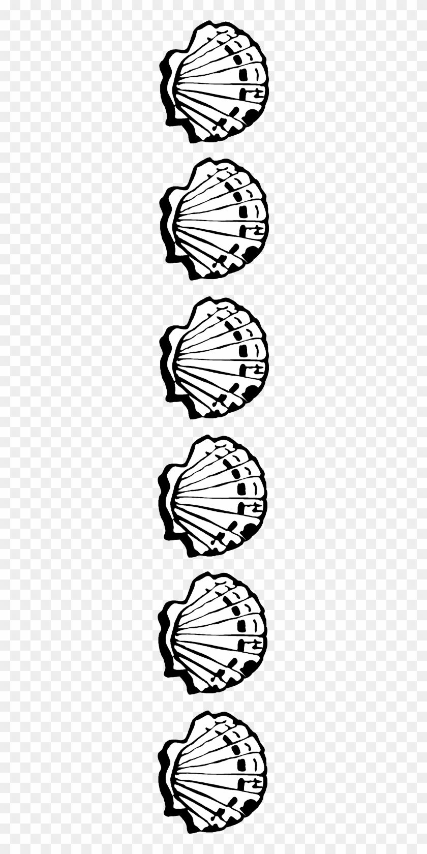 Shell Transparent Border Png Free Stock - Seashell Border Black And White #1433931