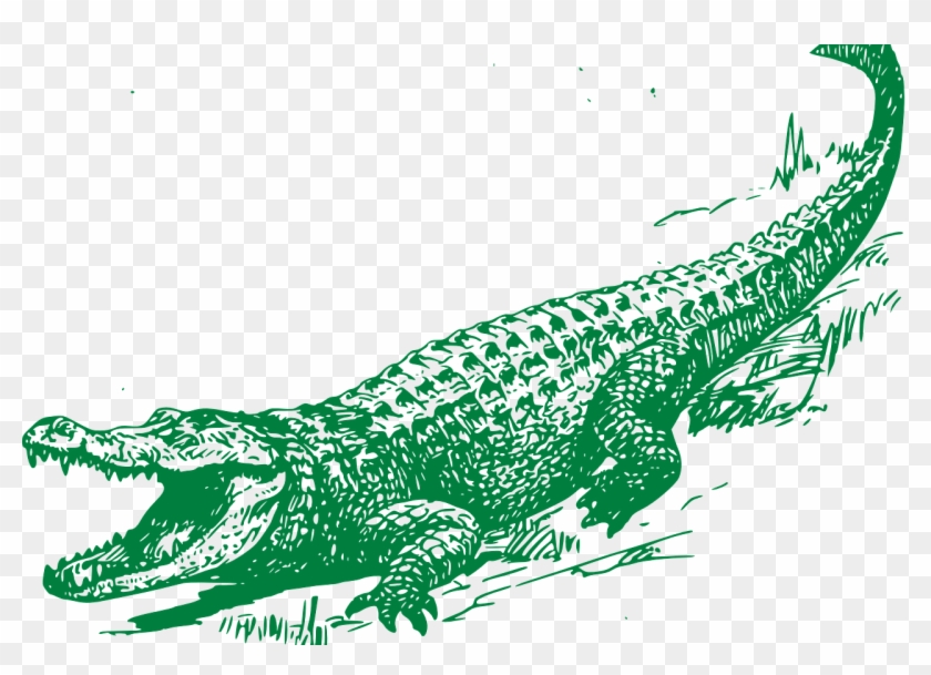 Clip Art With Transparent Background - Black And White Alligator #1434018