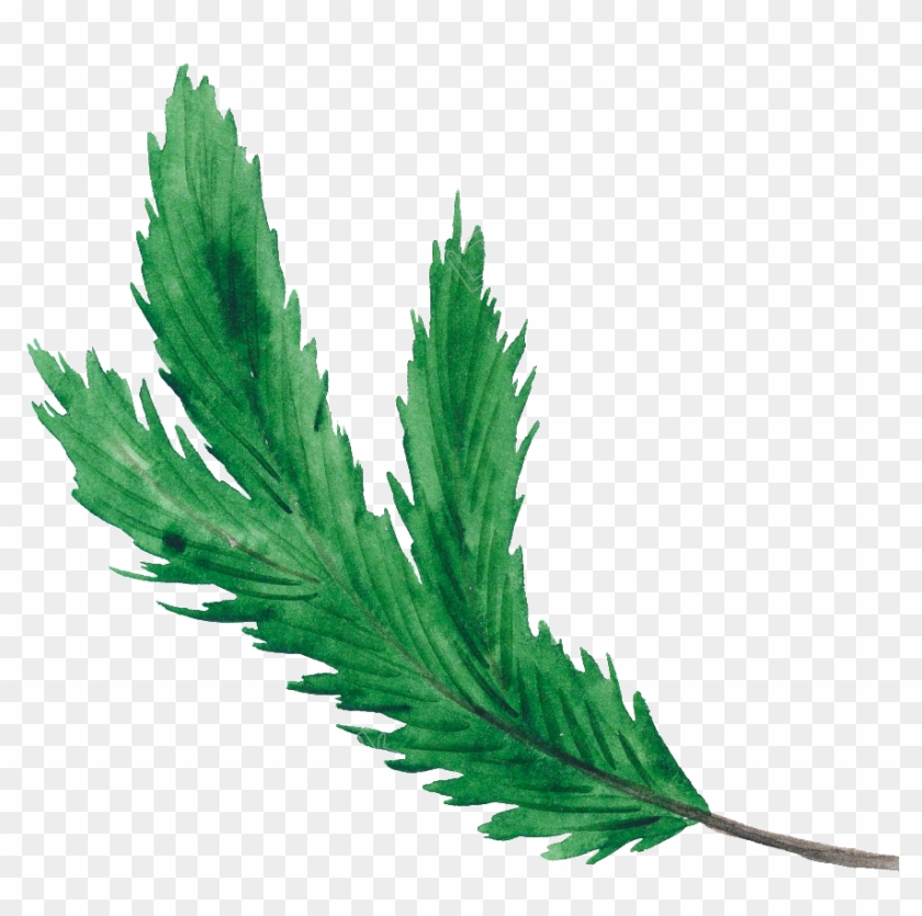 New Year Clip Art Pine Leaves - Transparent Christmas Green Png #1434230