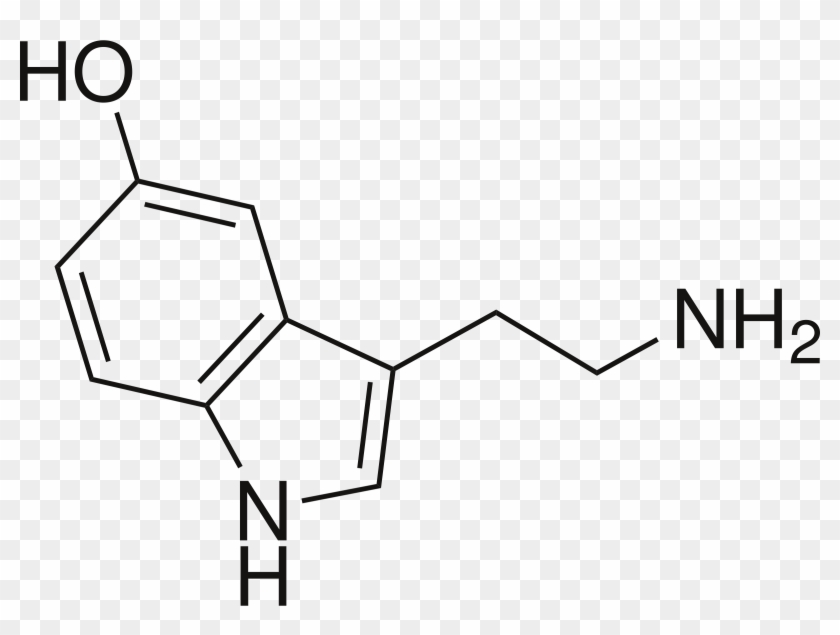 Big Image - Tryptamine Chemical Structure #1434663