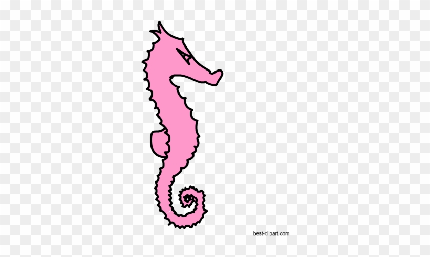 Free Pink Sea Horse Clipart Image - Northern Seahorse #1434858