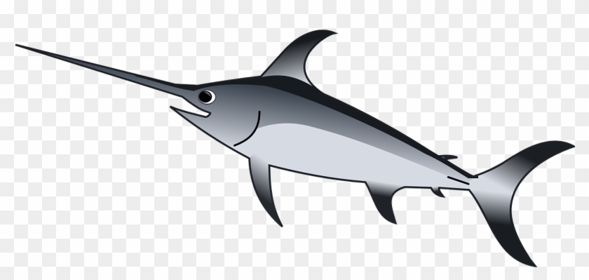 Clip Art Sword Fish #1434877