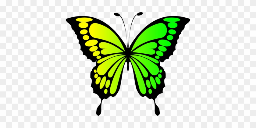 Butterfly Blue Green Purple Blue Green - Butterfly Clipart #1435334