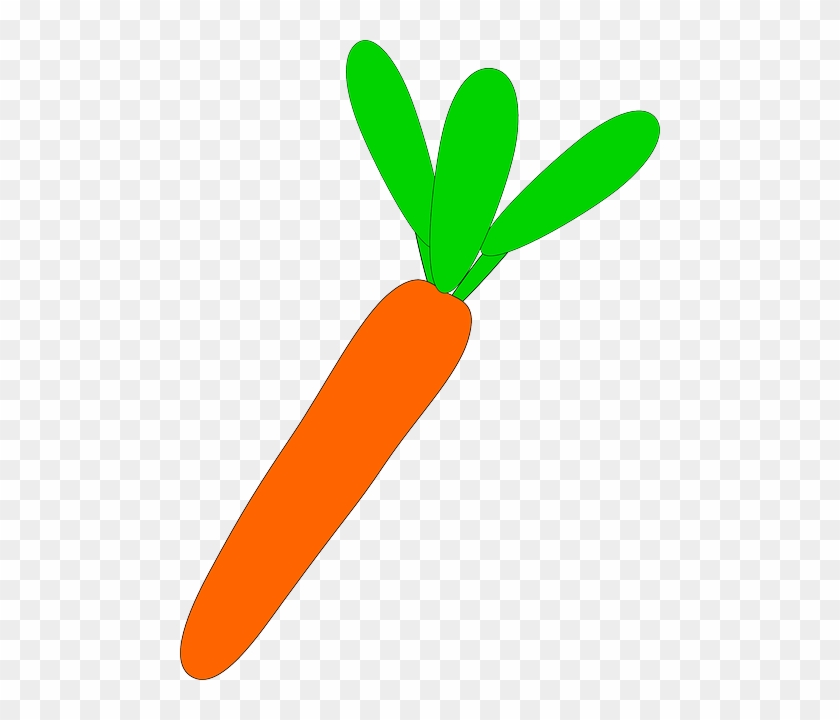 Png Transparent Library Broccoli Free On Dumielauxepices - Larawan Ng Carrot #1435336