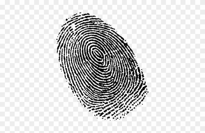 Fingerprint Png, Download Png Image With Transparent - Fingerprint Clipart #1435820