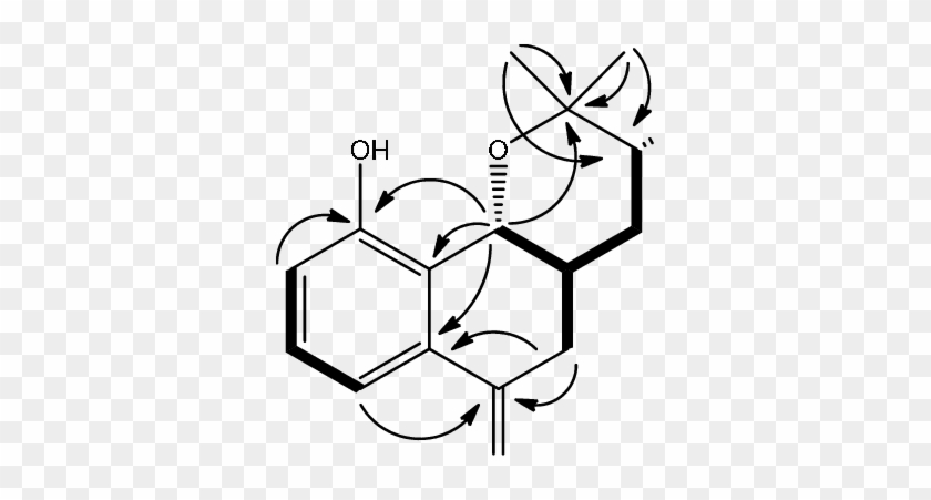 Selected Hmbc Correlations (h→c) And - Tephrosia Subtriflora #1435986