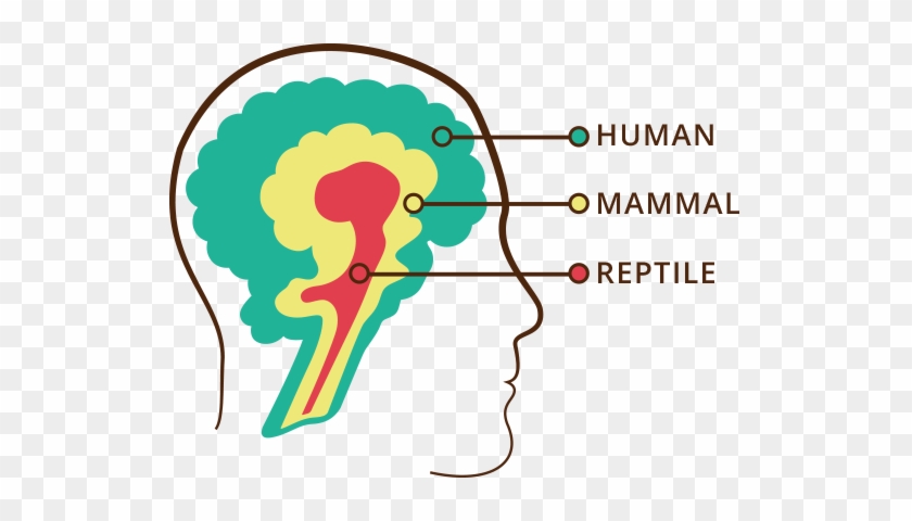 The Upshot Of This Arrangement, Dr - Triune Brain #1436154