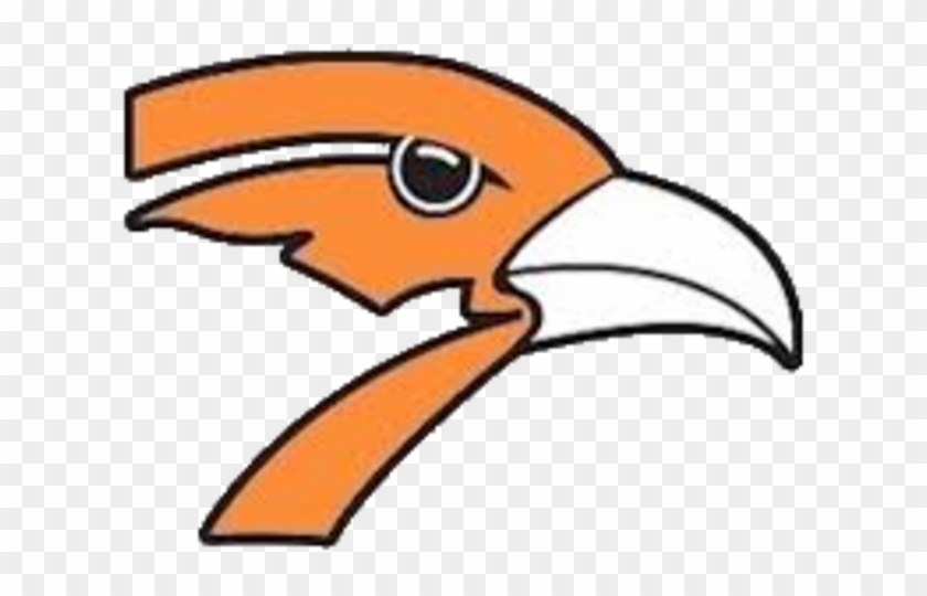 Iowa High School Football Scores - Springville Iowa Orioles #1436464