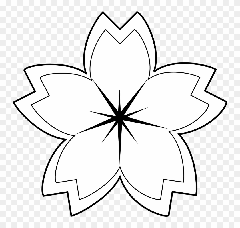 Flower, Petals, Star, Symetry - Simple Flowers Outline Designs #1436898