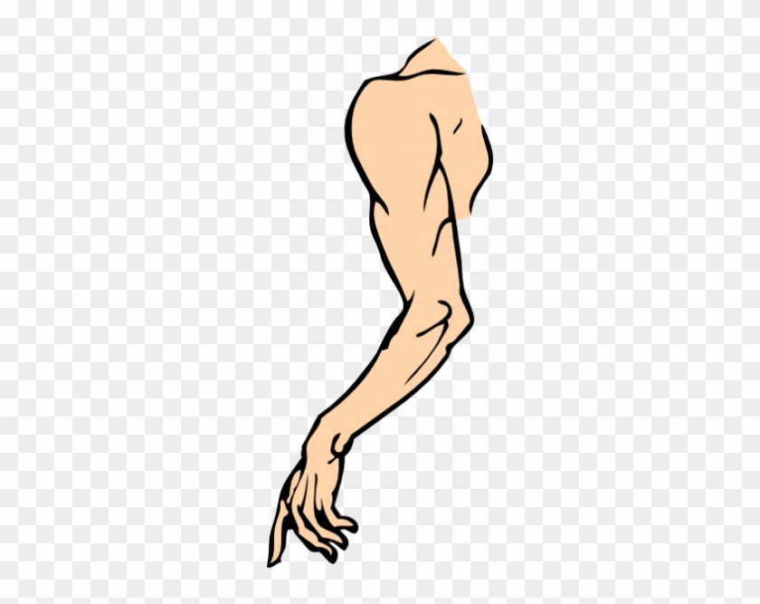Cartoon Arms Legs Vector Png - Arm Clip Art #1437080