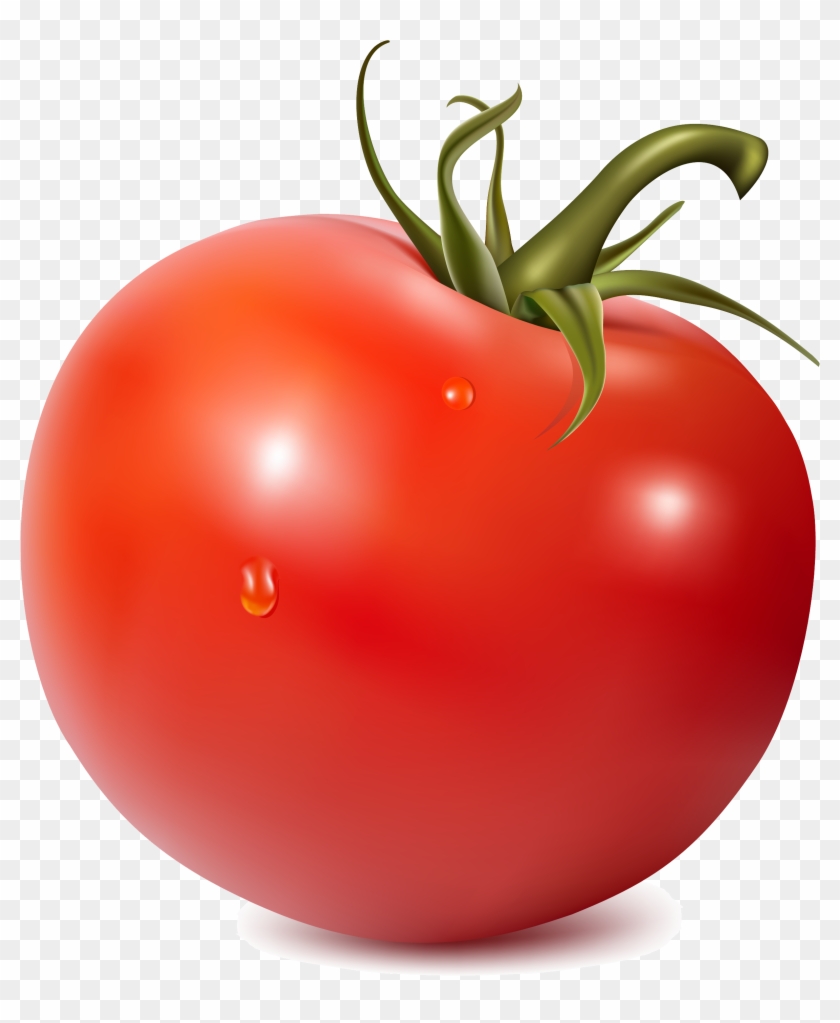 Jpg Royalty Free Stock Png Image Purepng Transparent - Simple Tomate Png #1437408