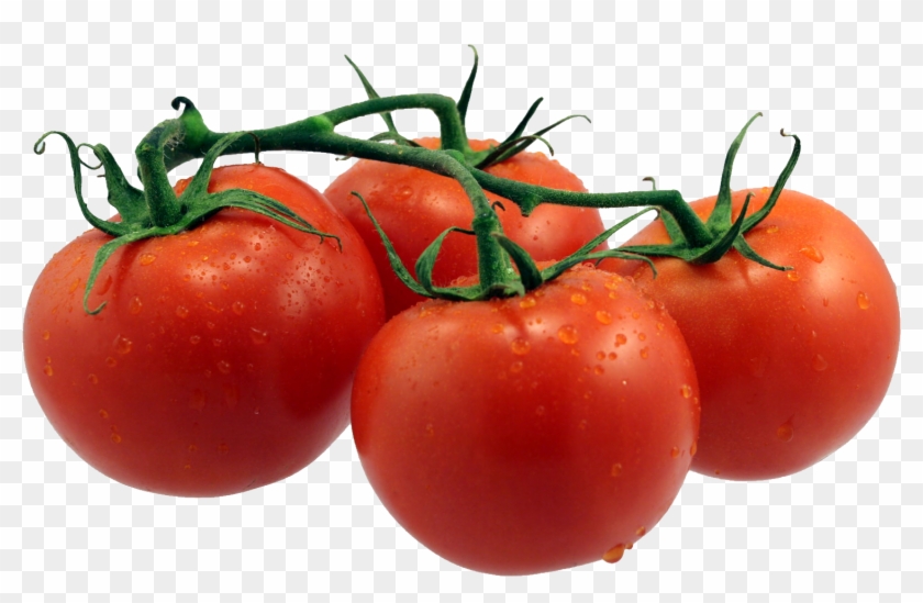 Tomato Clipart Four - Tomatoes Image Transparent Background #1437410