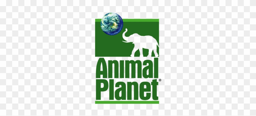 Animal Planet Channel Logo Png Clip Art Black And White - Animal Planet  Channel Logo - Free Transparent PNG Clipart Images Download