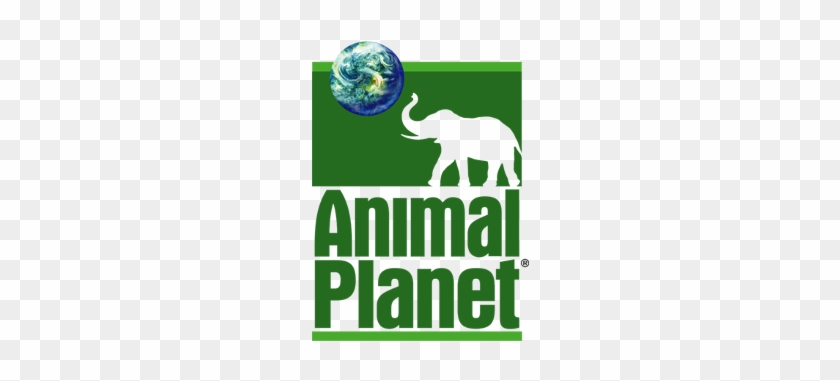 Animal Planet Channel Logo Png Clip Art Black And White - Animal Planet Channel Logo #1437451