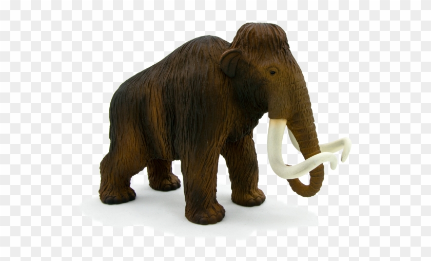 Woolly Scale Mojo Transparent Background - Animal Planet Wooly Mammoth #1437455