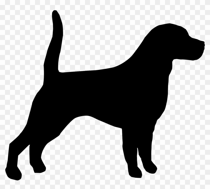 Beagle Bloodhound English Affenpinscher Puppy Retriever - Silhouette Beagle #1437579