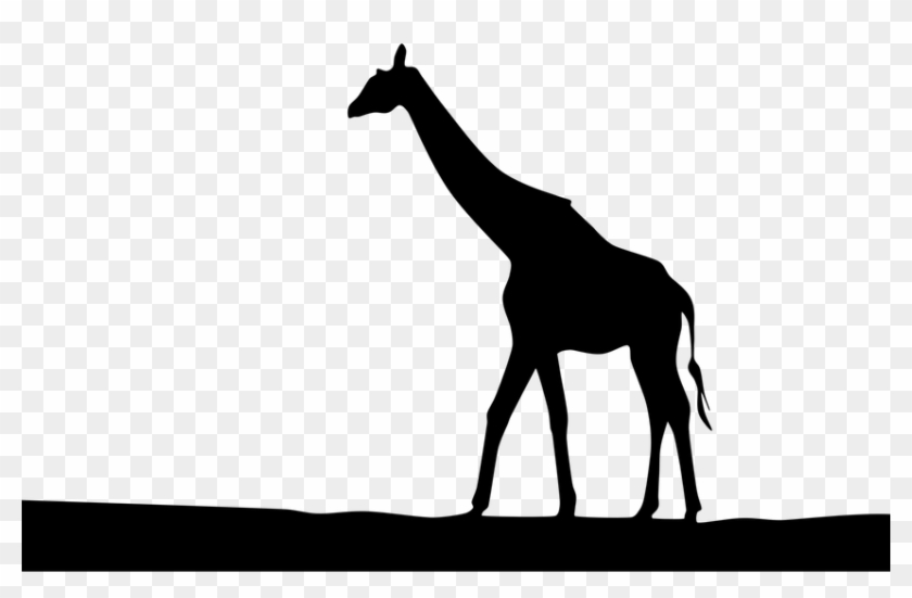 And Tree Silhouette At Getdrawings Com Free - Giraffe Silhouette Clip Art #1437818
