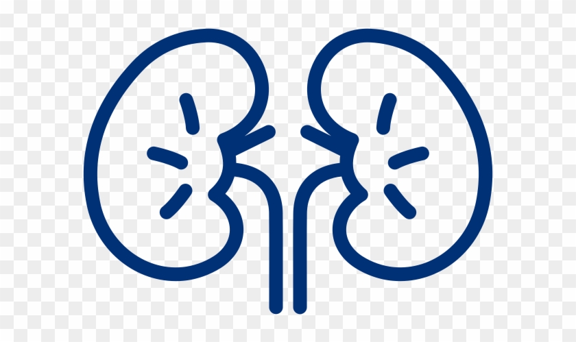 Find Important Resources For Kidney And Infectious - Kidney #1437892