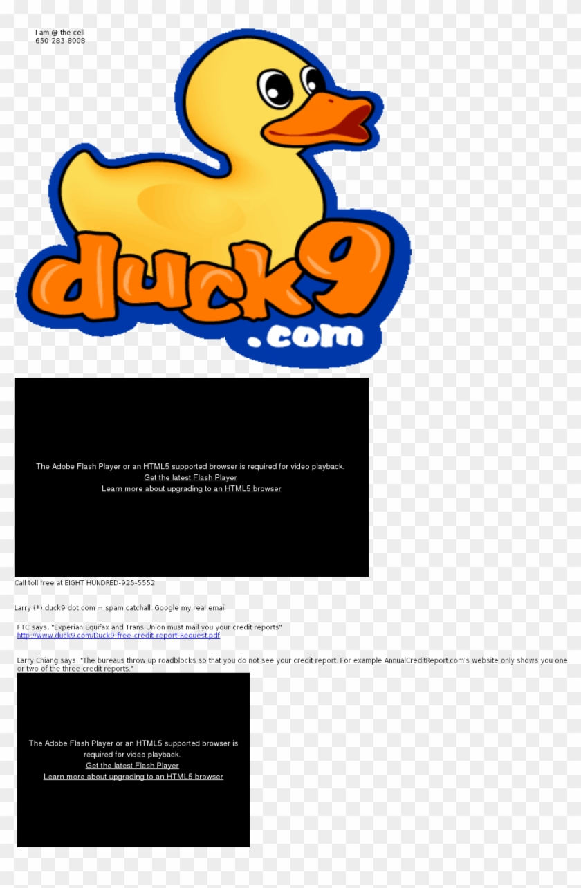 Duck #1438015