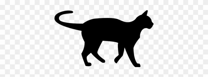 Jpg Cats Transparent Images Stickpng - Transparent Background Cat Silhouette Png #1438249