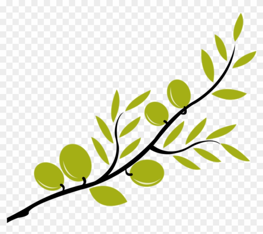 Download Clipart Free Download Cute Files Free Svgs - Olive Branch Drawing Easy #1438260