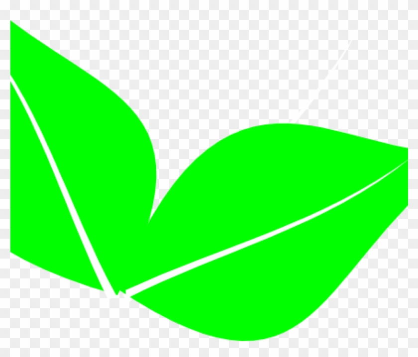Green Leaf Clipart Green Leaf Clipart Two Leaves Clip - Clip Art #1438642