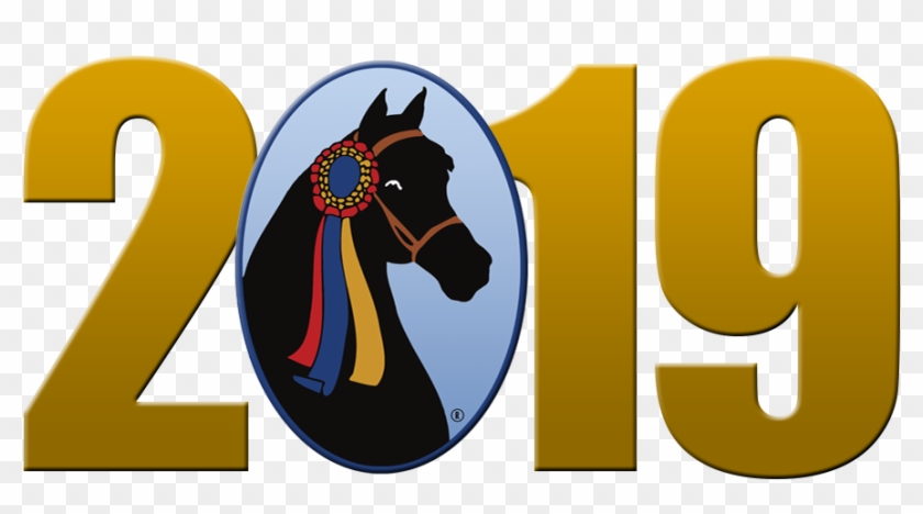 The Grand National & World Championship Morgan Horse - Horse #1438774