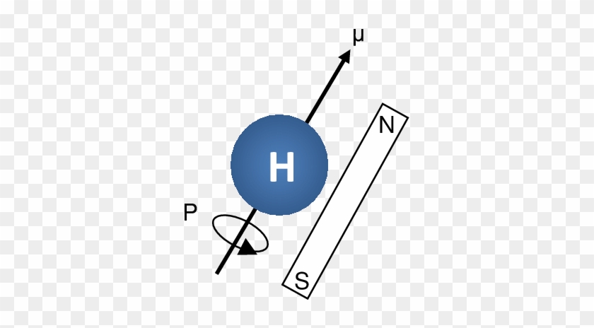 Internal Rotation Of A Hydrogen Proton - Internal Rotation Of A Hydrogen Proton #1439046