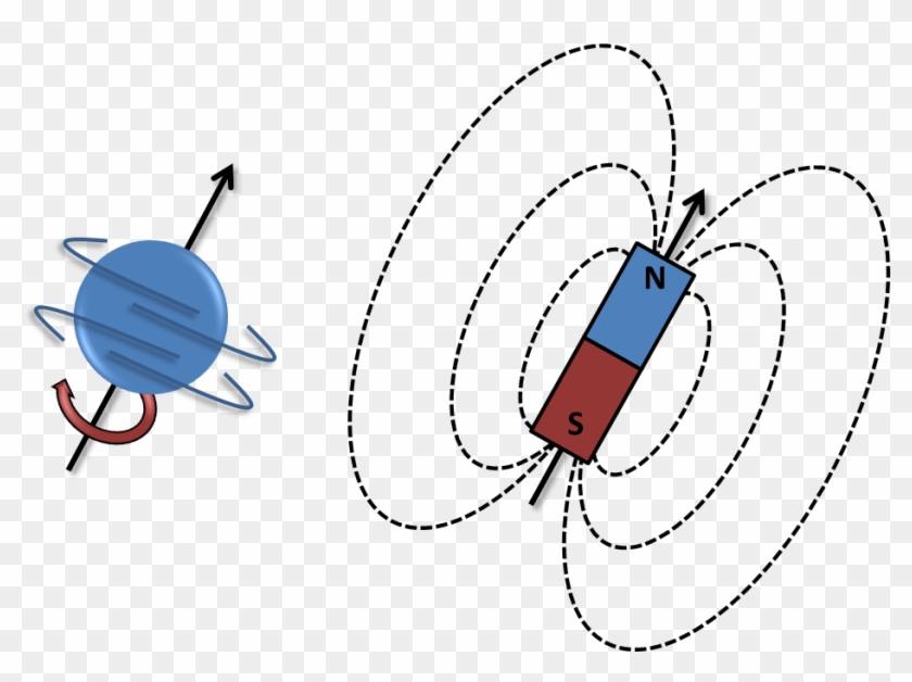 Nuclear Spin Magnet #1439119