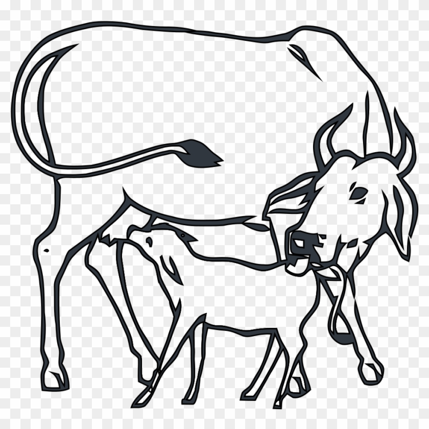 Cow With Calf Drawing #1439160