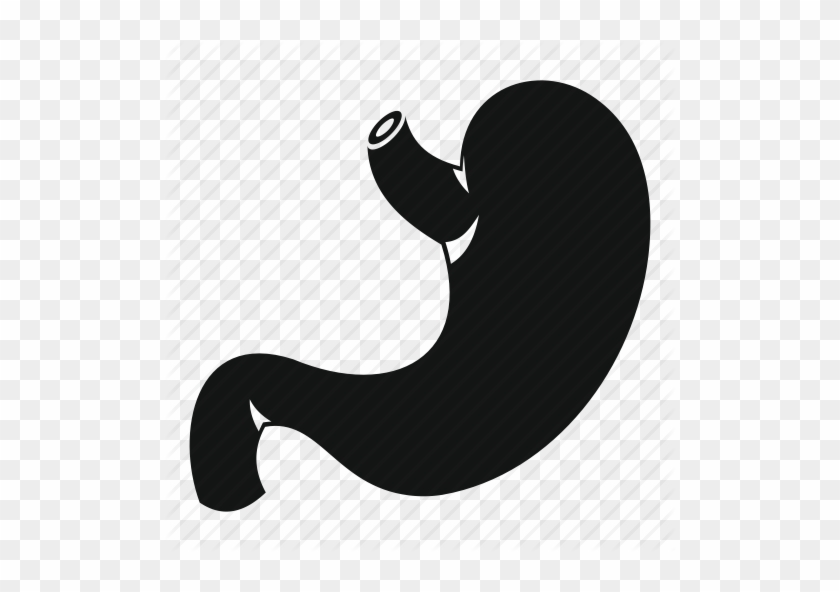 Digestive System Png Icon #1439457